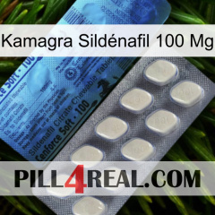Kamagra Sildénafil 100 Mg 34